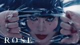 動画サムネイル ROSE