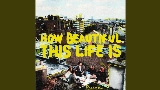 動画サムネイル How Beautiful This Life Is