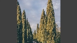 動画サムネイル Vinho Verde