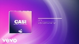 動画サムネイル CASI