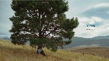 動画サムネイル Daylight